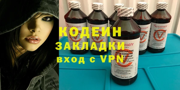ешки Алзамай