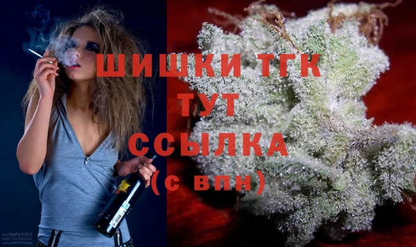 ешки Алзамай