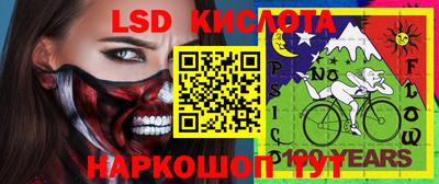 PSILOCYBIN Гай