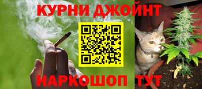 PSILOCYBIN Гай