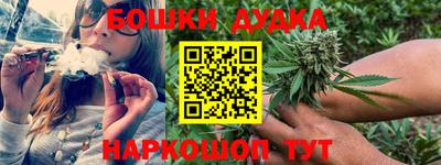 PSILOCYBIN Гай