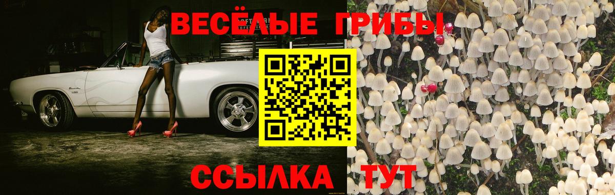 Галлюциногенные грибы прущие грибы Самара